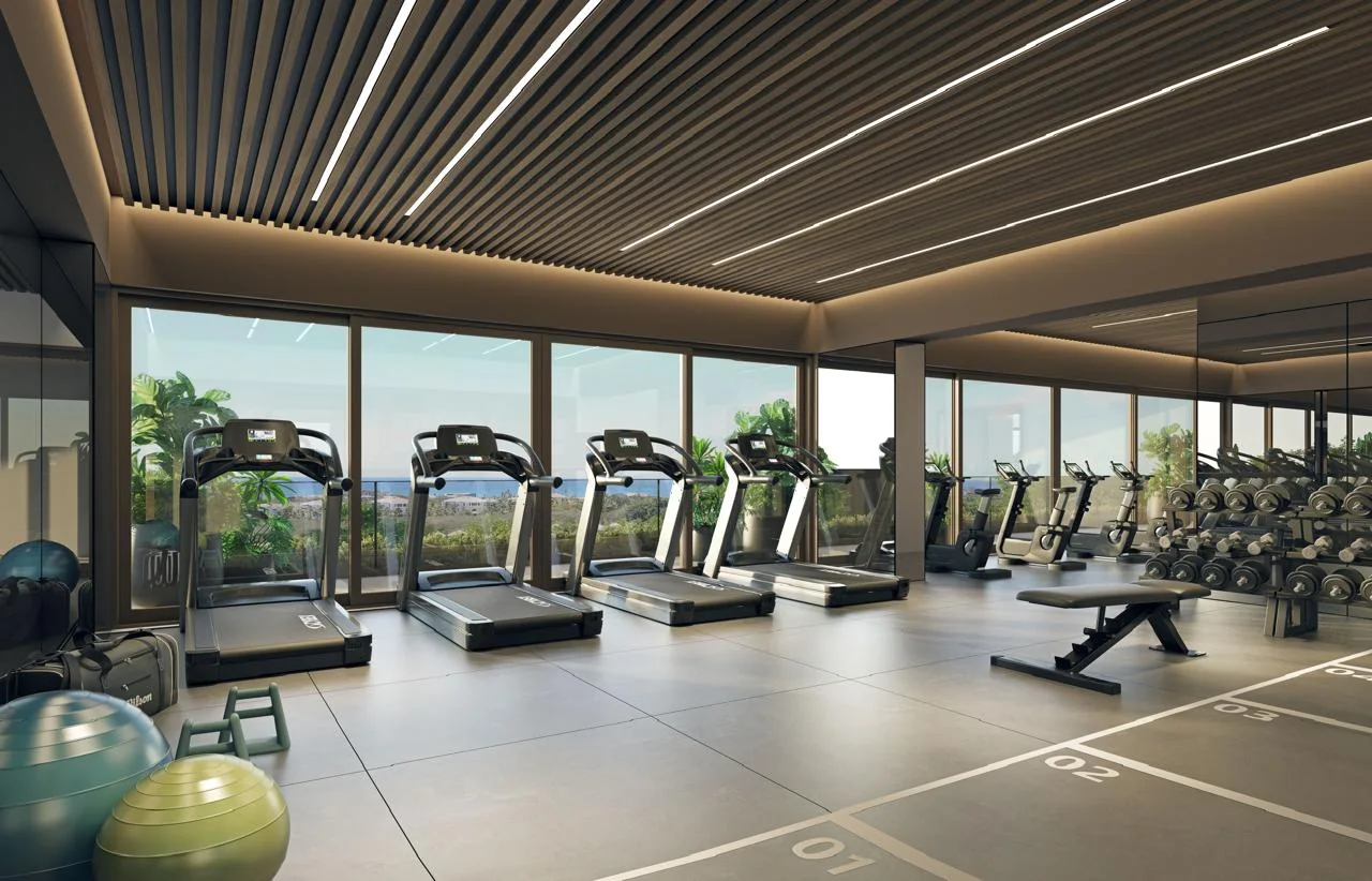 Gym — rendering