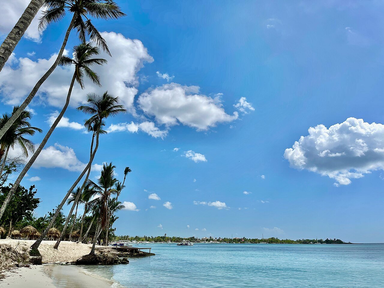 Beach and coconut palms facing Bayahibe bay