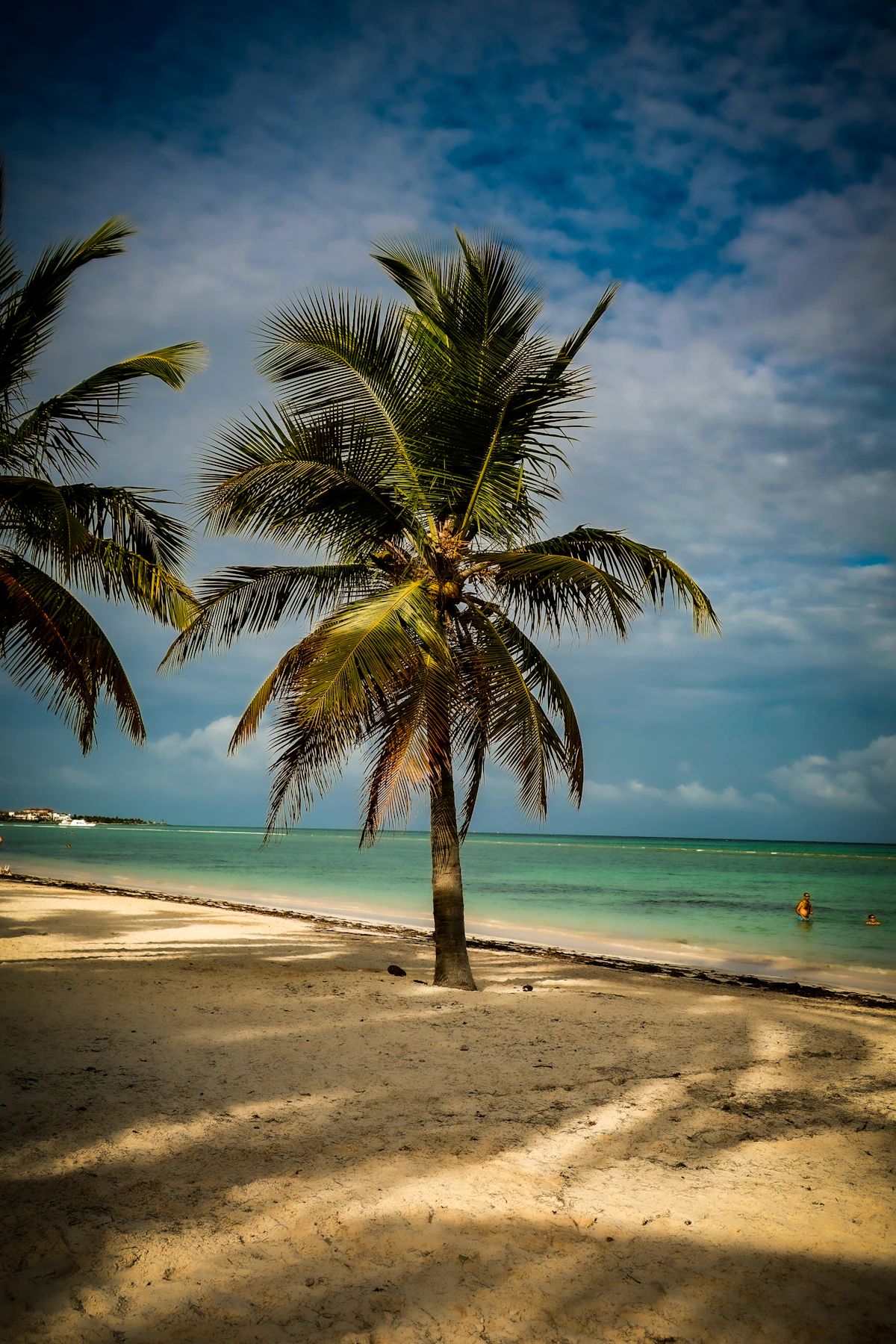 Palmiers, sable et mer turquoise sur la plage de Juanillo à Cap Cana
